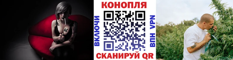 Бошки марихуана THC 21%  Купить закладки  Малгобек 